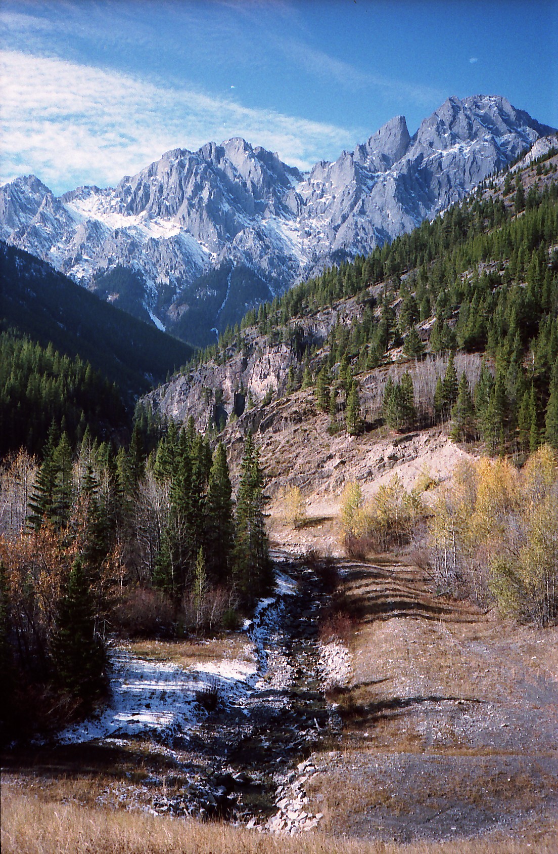 A mountain scene in Kananaskis country.